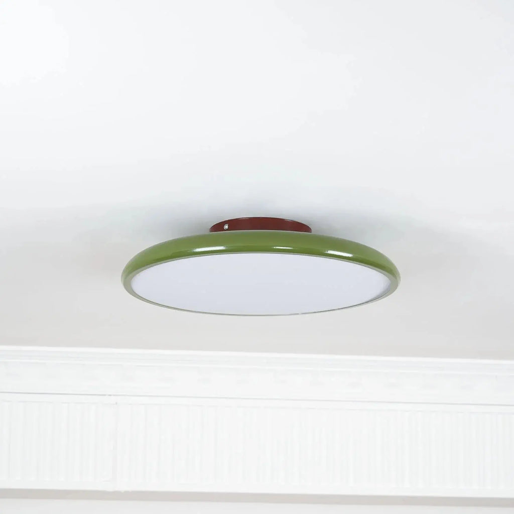 Fyne Adjustable Ceiling Light Colorful for Bedroom Fyne