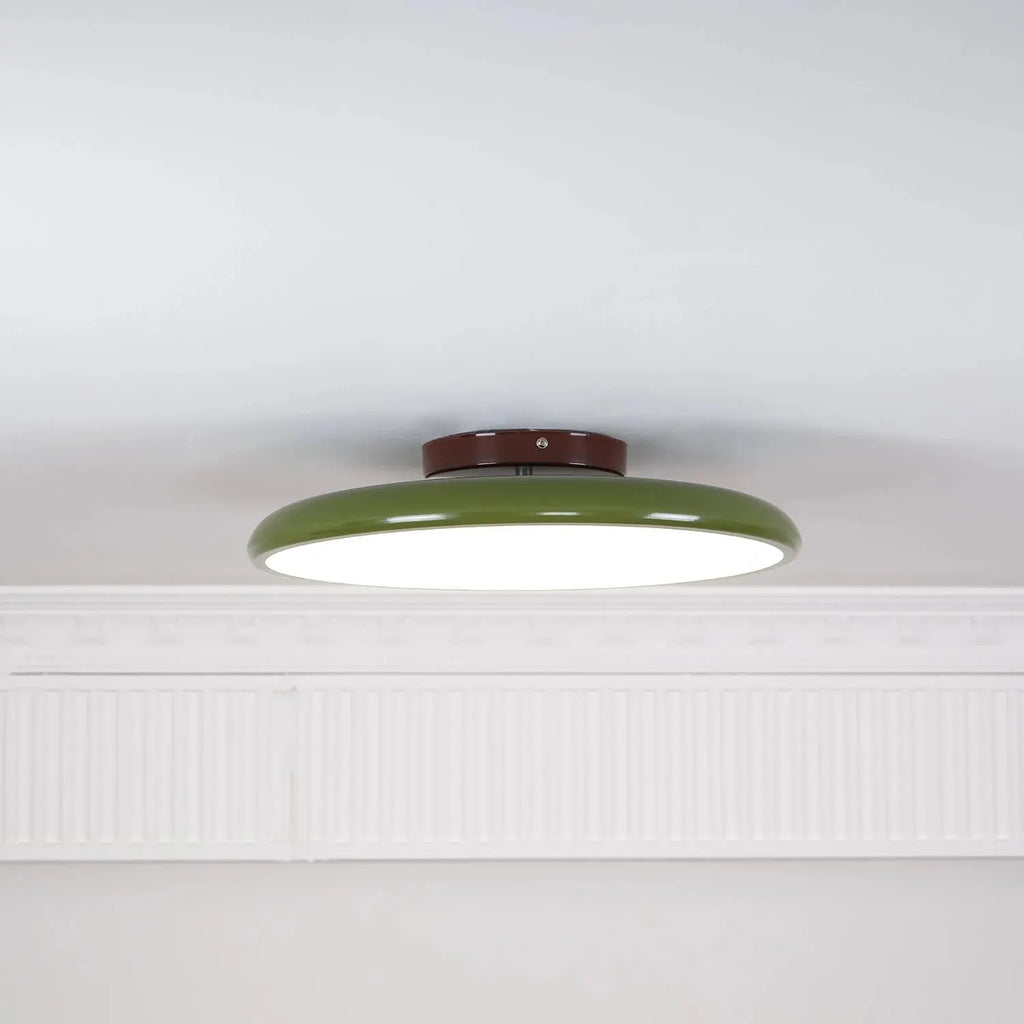 Fyne Adjustable Ceiling Light Colorful for Bedroom Fyne