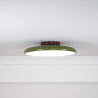 Fyne Adjustable Ceiling Light Colorful for Bedroom Fyne