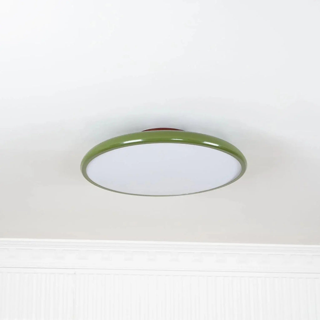 Fyne Adjustable Ceiling Light Colorful for Bedroom Fyne