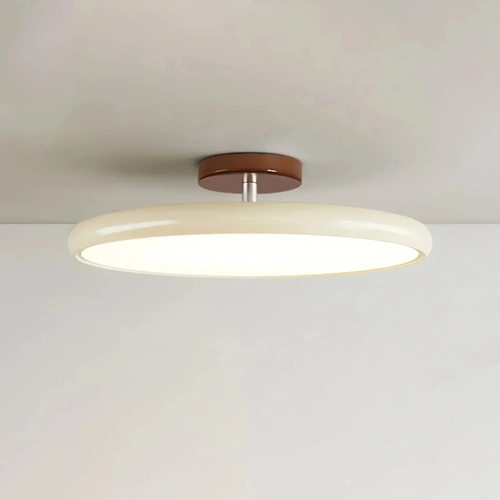 Fyne Adjustable Ceiling Light Colorful for Bedroom Fyne