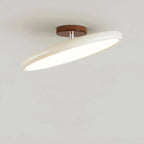 Fyne Adjustable Ceiling Light Colorful for Bedroom Fyne