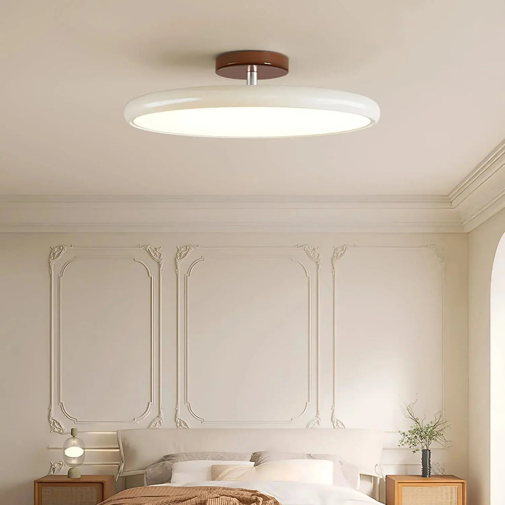 Fyne Adjustable Ceiling Light Colorful for Bedroom Fyne