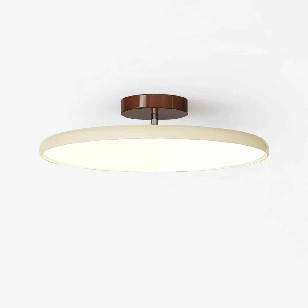 Fyne Adjustable Ceiling Light Colorful for Bedroom Fyne