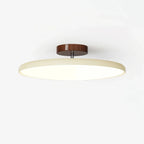 Fyne Adjustable Ceiling Light Colorful for Bedroom Fyne
