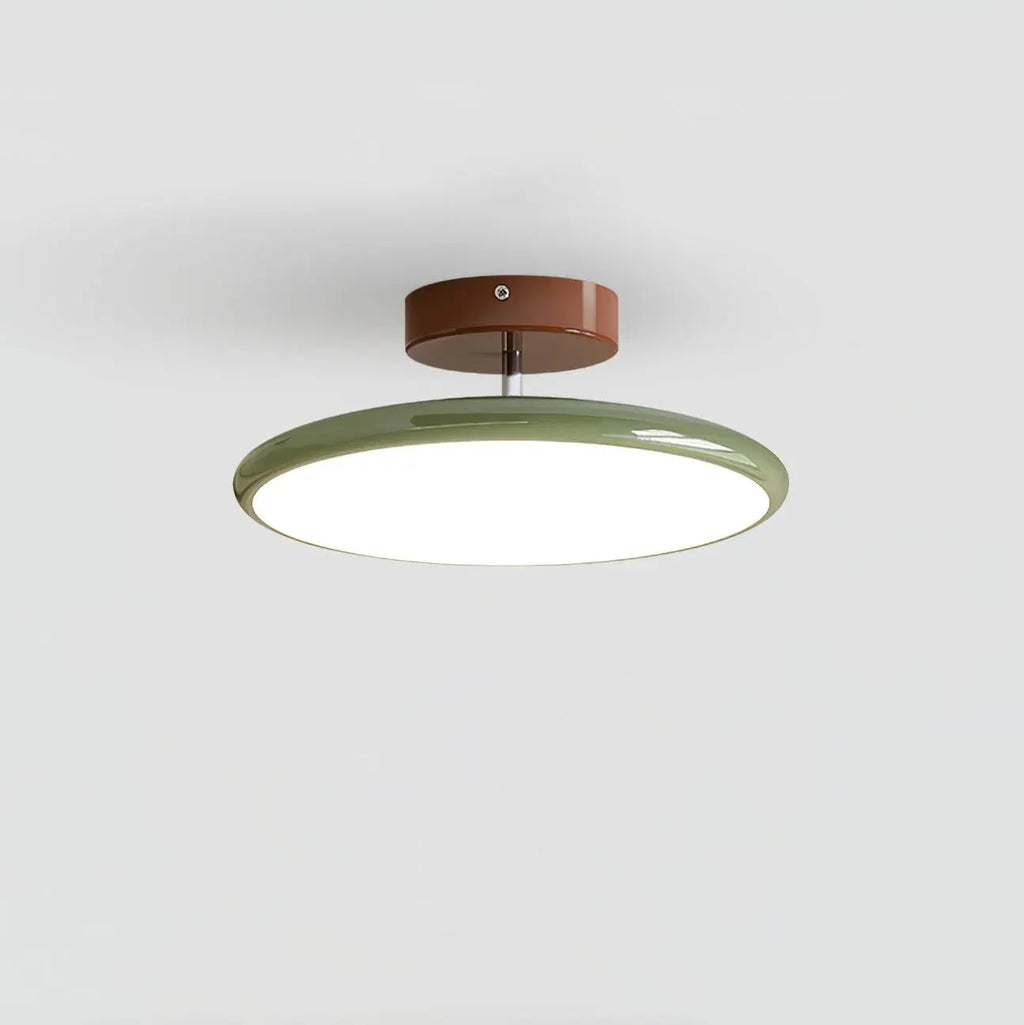 Fyne Adjustable Ceiling Light Colorful for Bedroom Fyne