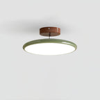 Fyne Adjustable Ceiling Light Colorful for Bedroom Fyne