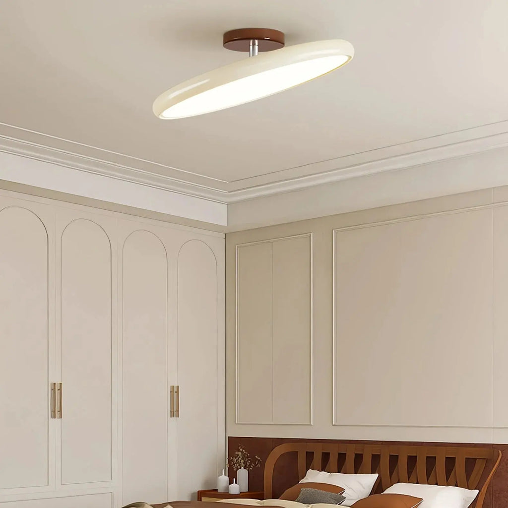 Fyne Adjustable Ceiling Light Colorful for Bedroom Fyne