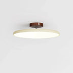 Fyne Adjustable Ceiling Light Colorful for Bedroom Fyne