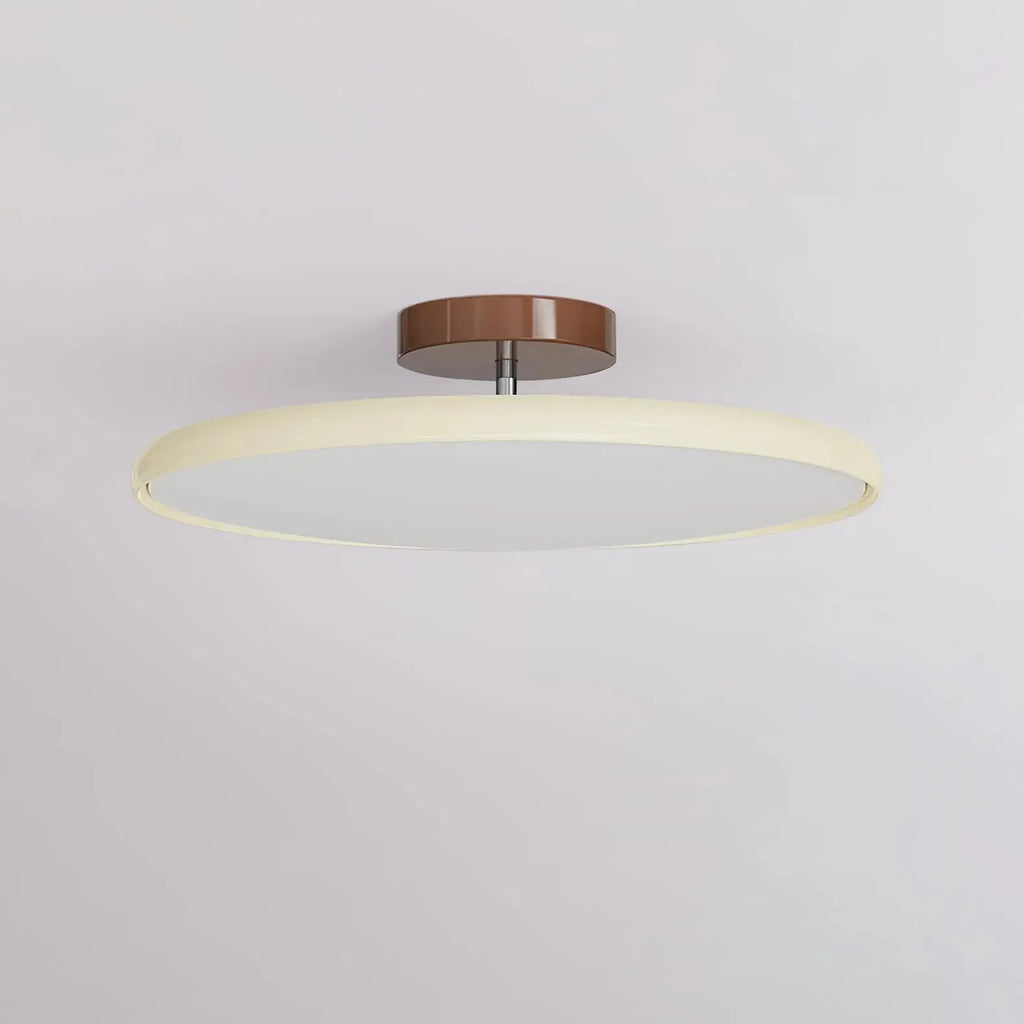 Fyne Adjustable Ceiling Light Colorful for Bedroom Fyne