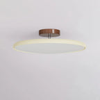 Fyne Adjustable Ceiling Light Colorful for Bedroom Fyne